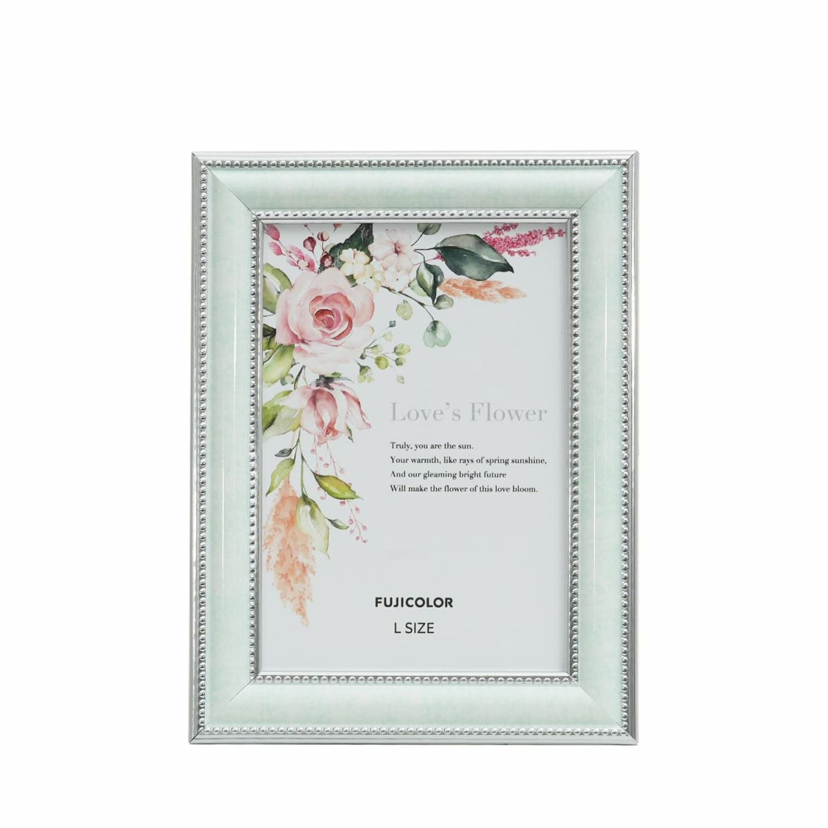 (フジフイルム) FUJIFLIM マーブルカラーフレーム   2701L L判 ミントグリーン