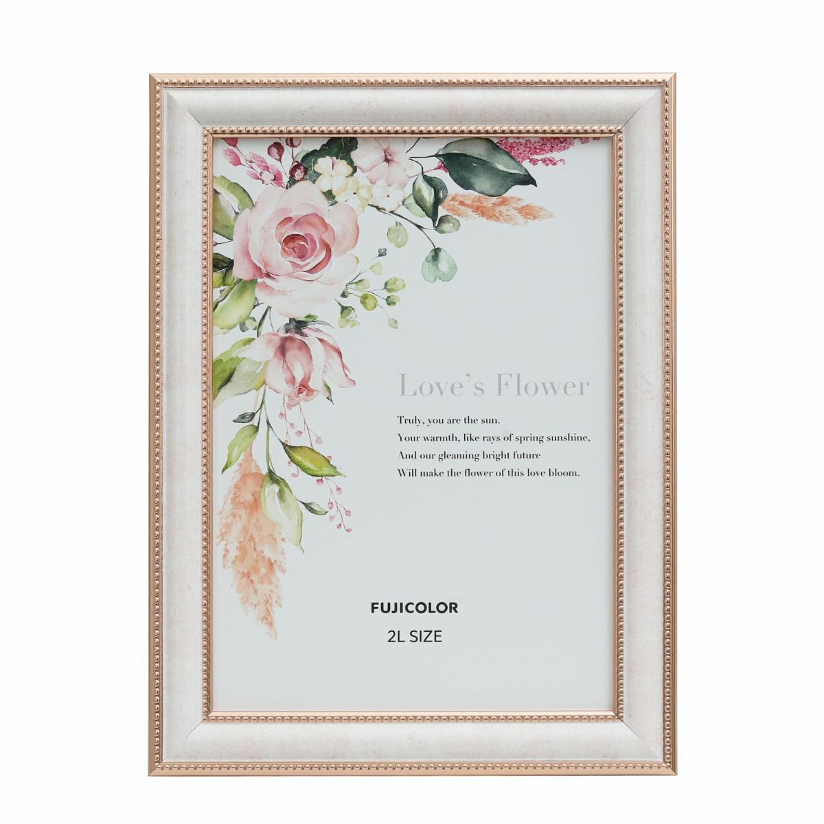 (フジフイルム) FUJIFLIM マーブルカラーフレーム  2L判 2802K ピンク  ※前面板：ガラス