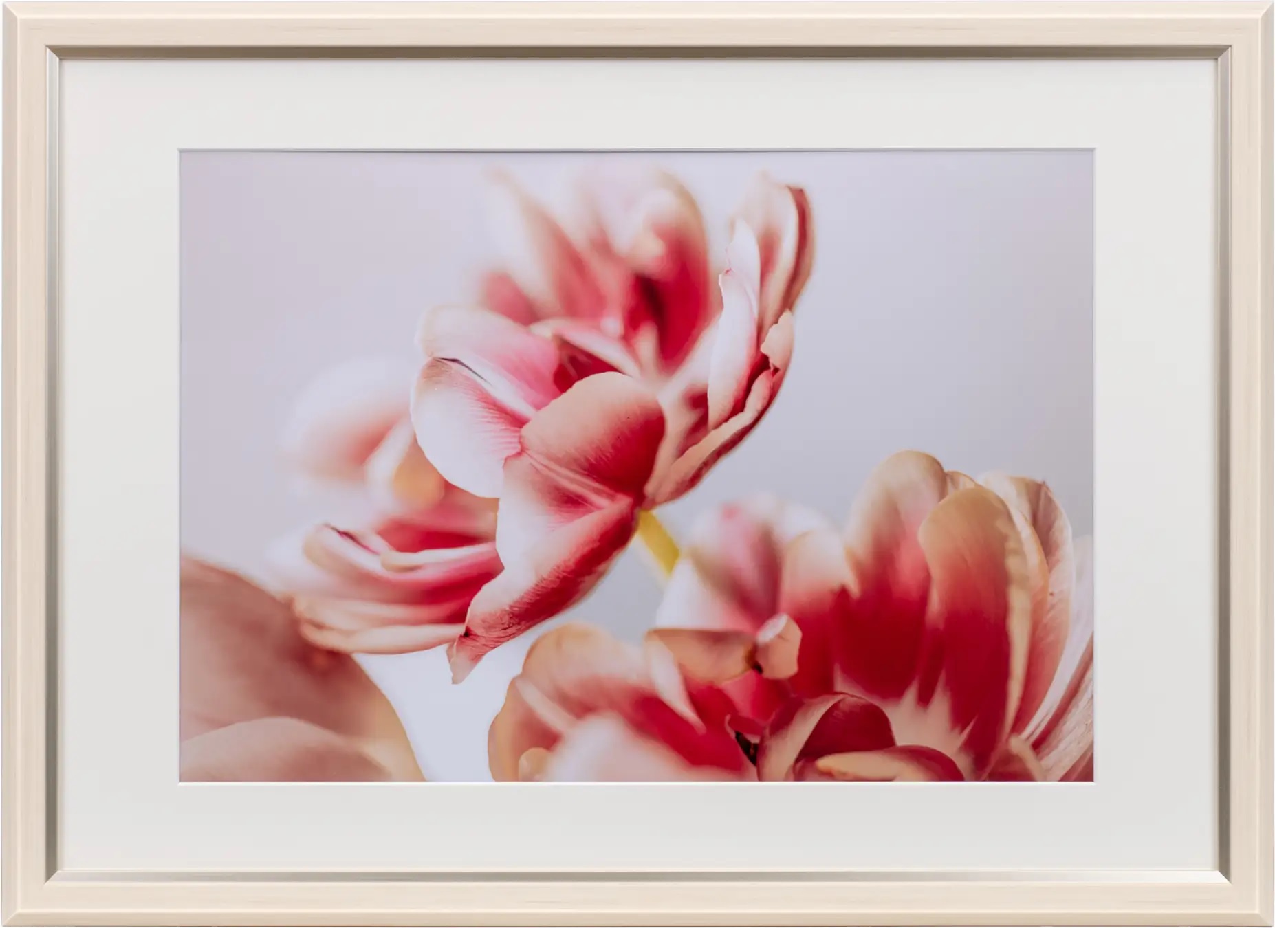 グレイスメロウMiu(ミウ) A3/B3兼用 アイボリー JGM-A3-IV