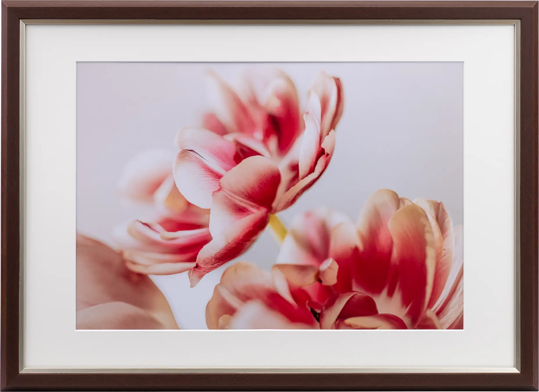 (ケンコートキナー)KenkoTokina グレイスメロウMiu(ミウ) A3/B3兼用