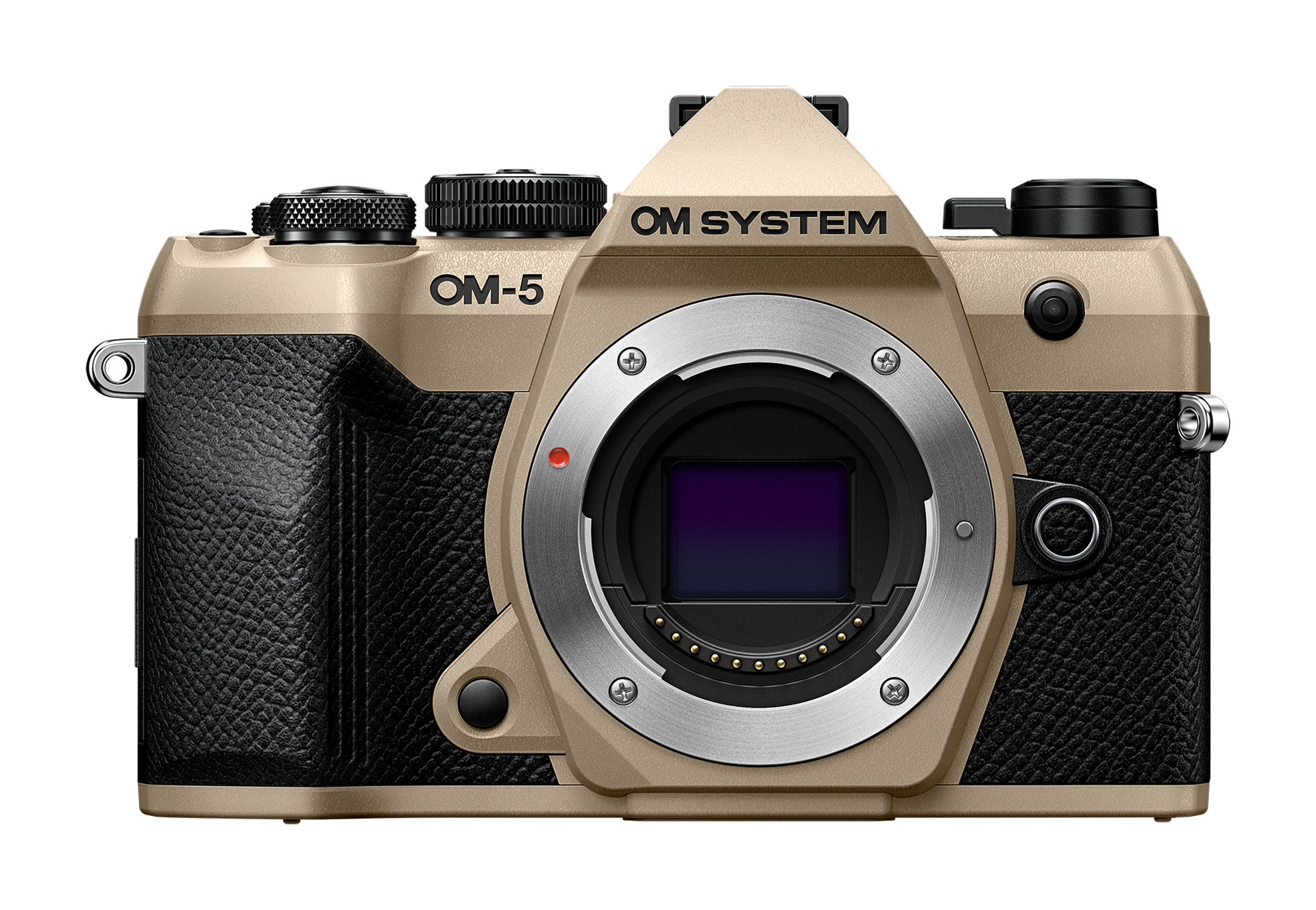 (オーエムシステム）OM SYSTEM OM-5 Mark II