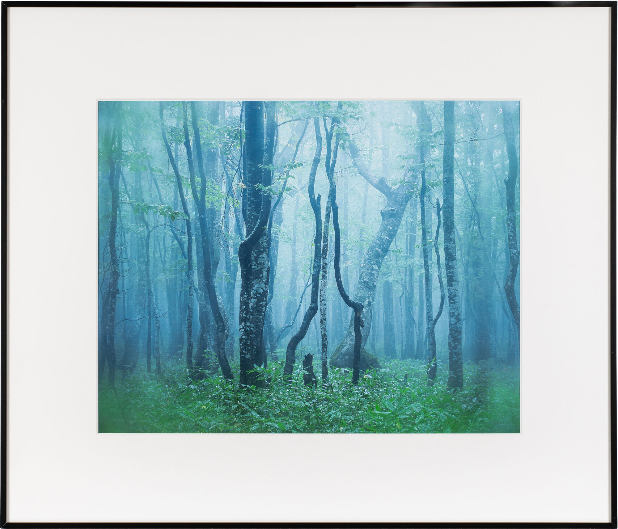 （ケンコー）Kenko  アルミ額縁 ギャラリー 【半切サイズ】  AGY-H 各色 ※表面材：アクリル