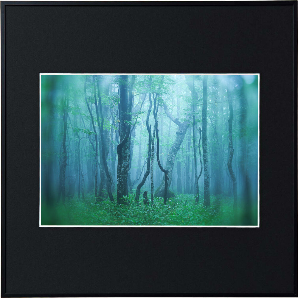 （ケンコー）Kenko  アルミ額縁 ギャラリー 【A4スクエア】AGY-A4SQ  各色 ※表面材：アクリル