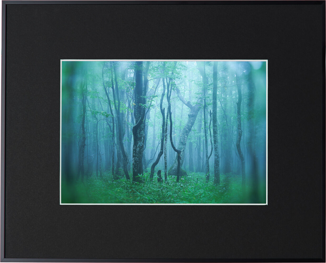 （ケンコー）Kenko アルミ額縁 ギャラリー 【A4サイズ】 AGY-A4 各色   ※表面材：アクリル