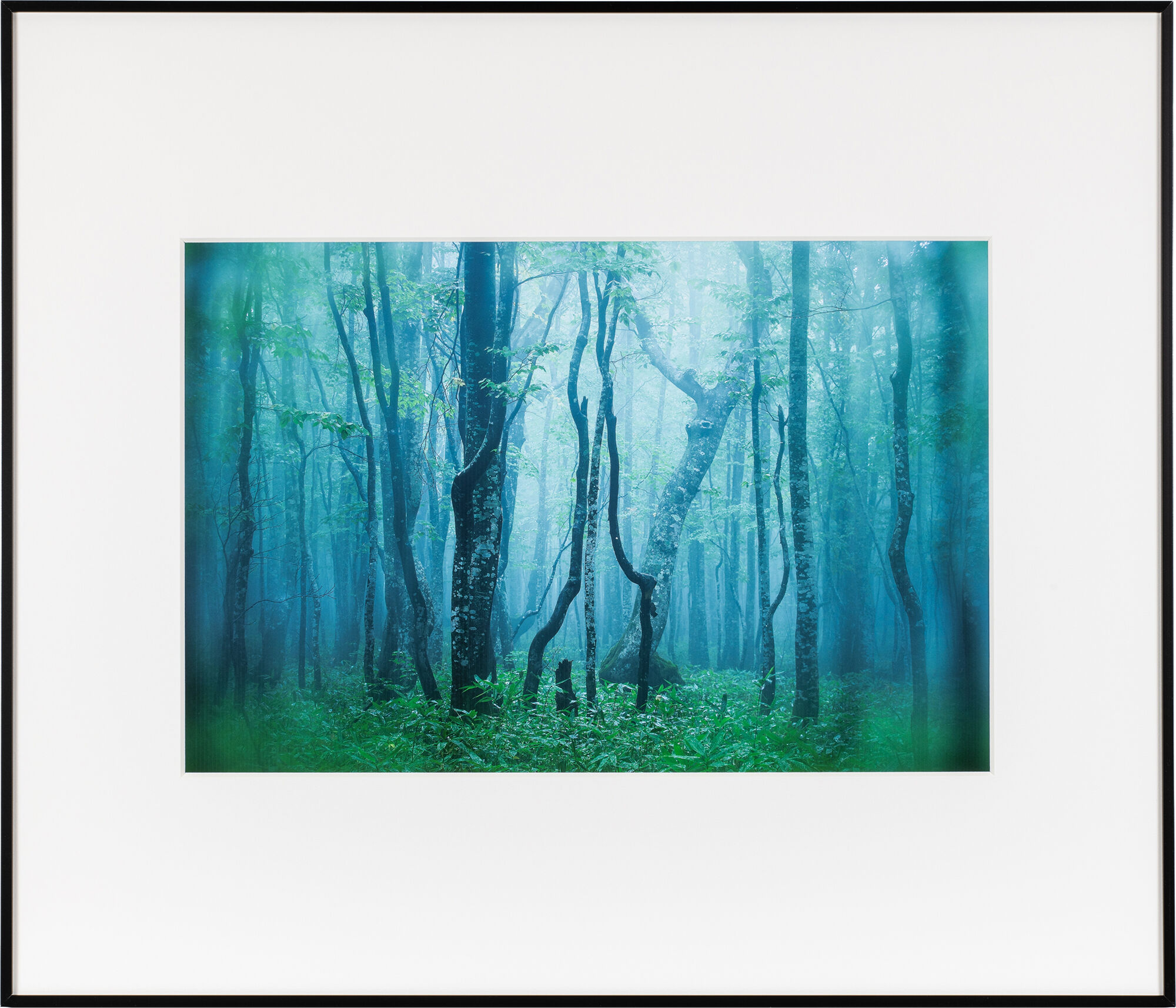 （ケンコー）Kenko アルミ額縁 ギャラリー「A3ノートリミング」AGY-A3N 各色 ※表面材：アクリル