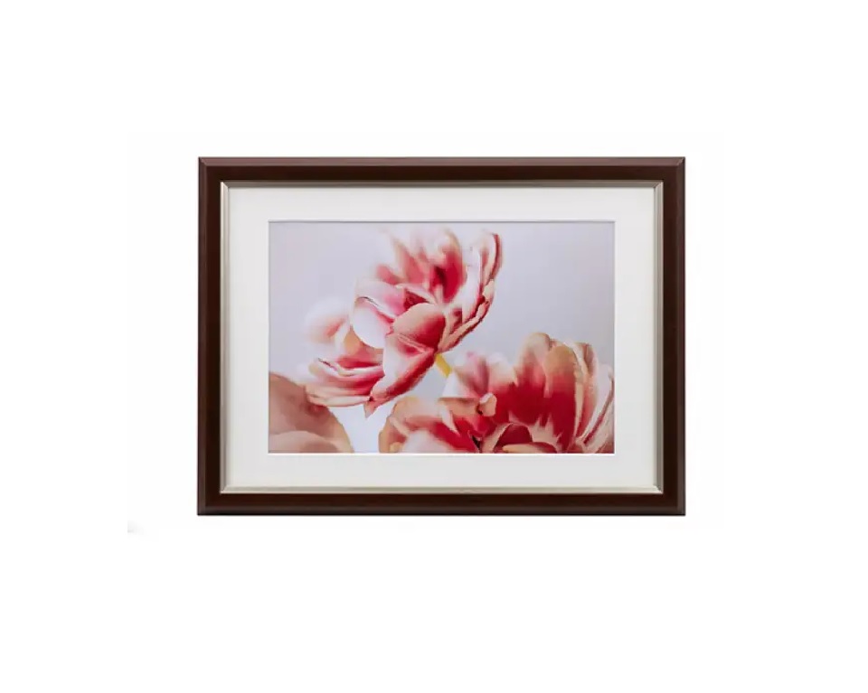 (ケンコートキナー)KenkoTokina グレイスメロウMiu（ミウ）A4･ワイド六切兼用 各色