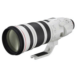 (キヤノン) Canon EF200-400/F4L IS USM EXTENDER1.4X
