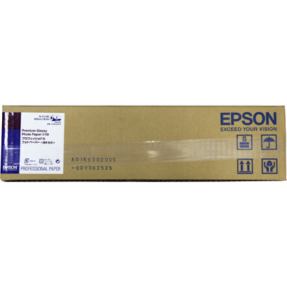 （エプソン）EPSON　PXMCA2R12　プロフェッショナルフォトペーパー　薄手半光沢
