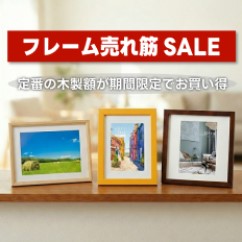 フレーム売れ筋SALE